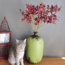 ���滨С3���P���m�ļ��mʯ���mС��ޥ�m ���W�ҾӘӰ��g��c�b�