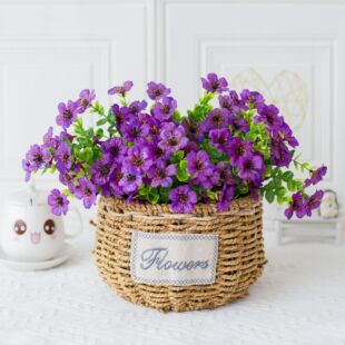 �羳���R�d�����ȼ������_�m���m������������������@ֲ�ﻨ���b