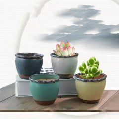 Creative Stoneware Unfired Pottery Set for Succulents, Hand-Painted with Thumb-Style Glaze and Kiln-Made Variations—Perfect for Miniature Succulent Planters