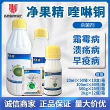 �d�r������ 33.5%����~�S��˪ù�����ٝ����������߲��������rș