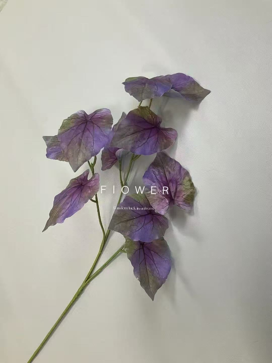 微信图片_20250425173120