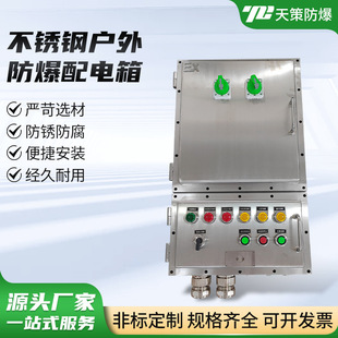 Iib Stainless Steel Outdoor Explosion-Proof Distribution Box 316 Stainless Steel Ship-Grade Control Box Maintenance Power Box Junction Box