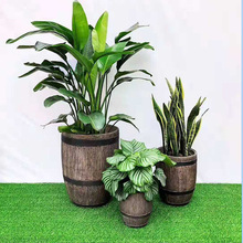 �@ˇ�aƷ�Ƶ껨�� ���Q���������V��ľ�������b�O��ֱ��ľͰ����