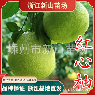 �t�������縣��ƽ�ͼt��������ľ�V�S�R������޽������Ә����