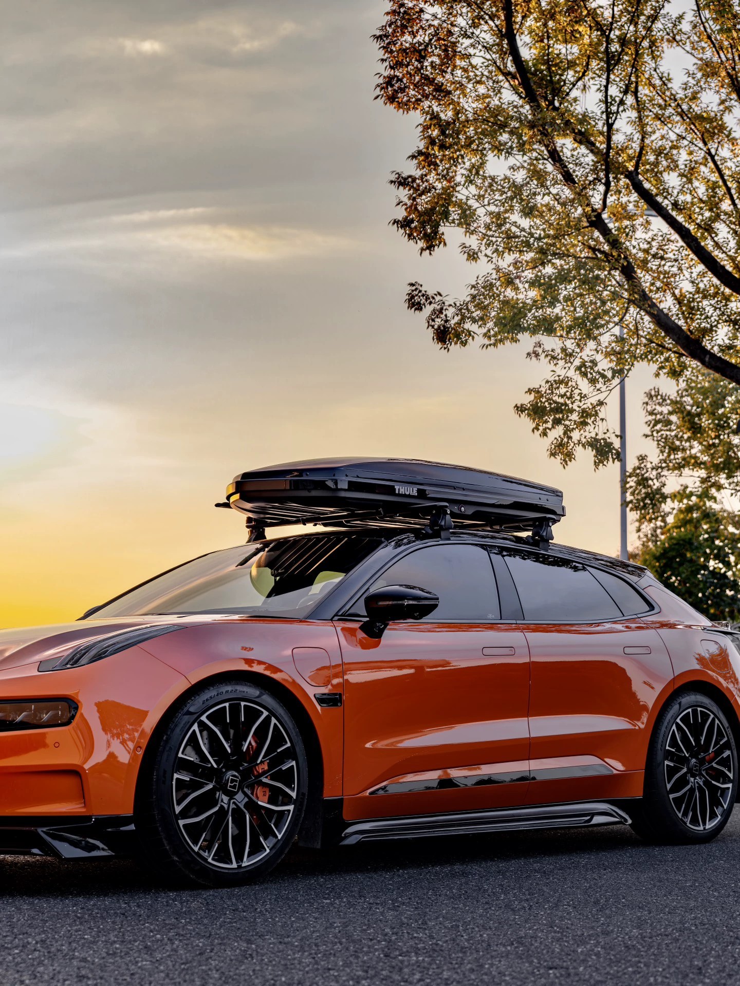 Alloy Roof Rack | Pikache Roof rack - dedicated-tiger-claw-black-pair-for-zeekr-001