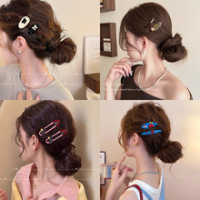 �߼��Џ͹ű��y�l�AŮ�WԺ�L���|�l����߅�A��l�����A����A�^�