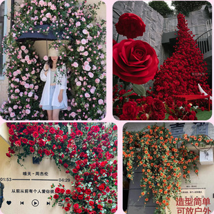 õ�廨�ٻ��ٗl�Gֲ���������ٲ������쾰���{�ܵ��ړ��b�