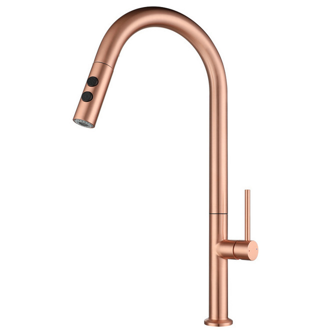 304 Stainless Steel Rose Gold Kitchen Pull-out Faucet Hot and Cold Electroplating Rotatable Telescopic Vegetable Basin Faucet 304 Stainless Steel Rose Gold Kitchen Pull-out Faucet Hot and Cold Electroplating Rotatable Telescopic Vegetable Basin Faucet