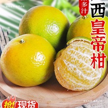 广西皇帝柑新鲜橘子水果当季现摘蜜桔子贡柑甜橘老树大果包邮