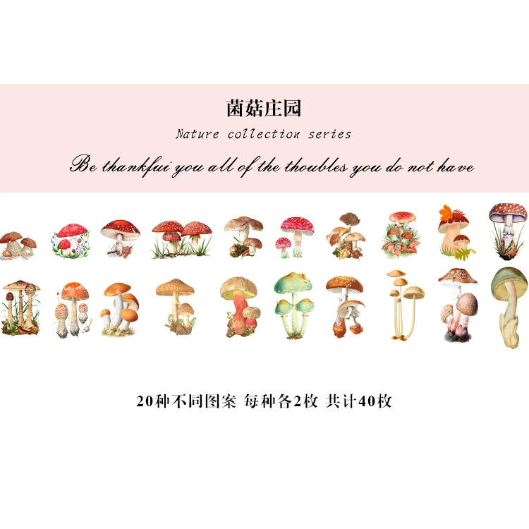 Natural photo collection window series PET handbook post paper bag creative plant DIY decorative post 12 models