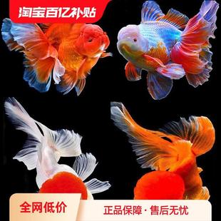 ��ˮ���~�^�p�~�ͻ���B��ˮ�{���^��픻��^�����ݽ��~���~����~