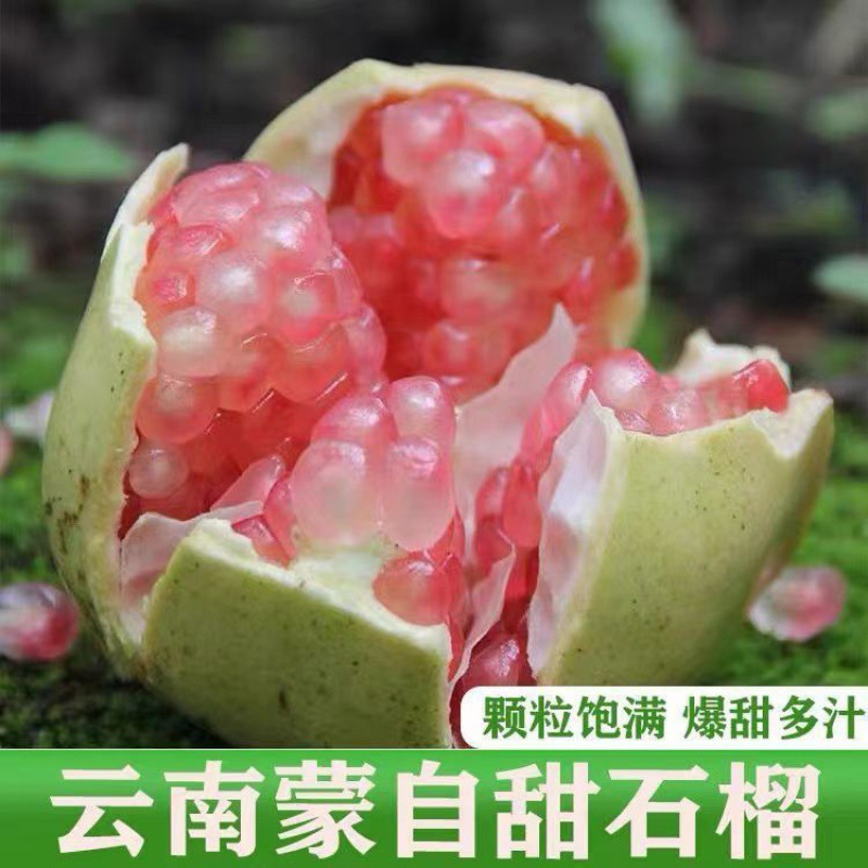 Pomegranate Yunnan Mengzi crystal Pellicle pregnant woman fresh fruit Amazon Cross border Manufactor Direct selling