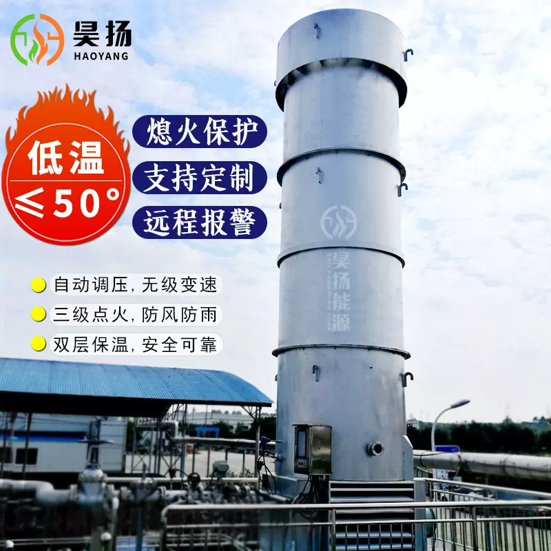 沼气燃烧火炬 沼气火炬污水处理厂酒精厂 养殖场沼气燃烧设备