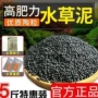 免洗套餐种植过滤水草泥