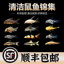 ��̦�������~�����Ꭷ�^�p�~�׻��w����ԼS�������坍�~�����~