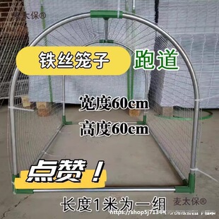 �����B�u�Bֳ�ߵ��u���ܵ��Ƅ��������_�u�\��ɢ�B�u����̫����