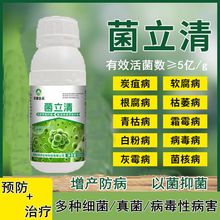 植物菌立清杀菌剂广谱果树农用微生物紫斑霜霉病专用药白芨病菌清