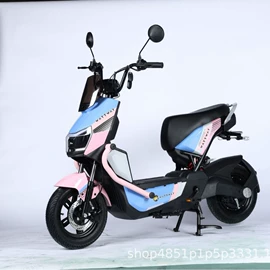 电动自行车;电动摩托车;其他电动车