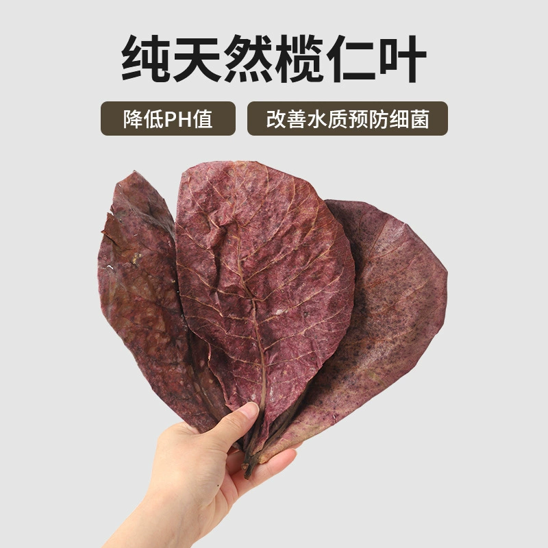 Натуральный лист лонган, бетта, ленивый лист, аквариум, регулятор рН кислоты