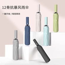 ��㶨��12���Ԅ������؛���Ԅ��ۯB̫ꖂ����������ꖂ�