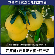 ��ֲ�R�M�������ֆη����ͷ�����������Ħֲ������ԭ��ֲ����ȡ