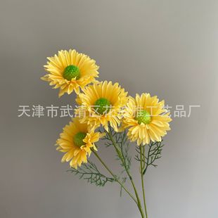 4�^̫ꖻ����滨��Y·���廨�����b�С�r�վƵ�Ӱ�ǻ�c�ٻ�