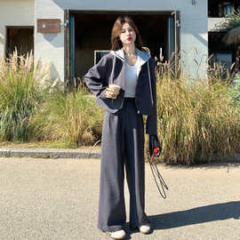 灰色韩系休闲连帽假两件西装套装女春季2026新款气质阔腿裤两件套