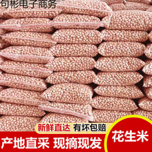 ���������l������؛��5��o������ե�;��x���w���r���ԷNֱ