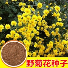 ҰջNӾջNѶļ_ͥԺ@̨҃׻