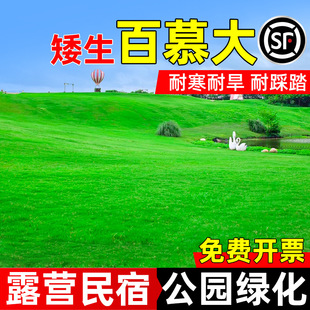 ������Ľ��N���M�ڲ�ƺ�N�Ӳ��Ѱ����ļ���G������ͥԺ�e���ͺ�