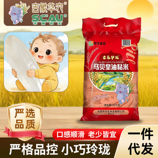 ������͸���������ʳС���ᭇ10kg�����A�r�Rؐ����ճ��һ�����l