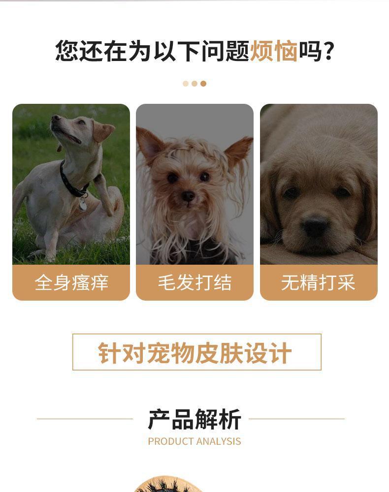 f6924d19-fbe8-4914-97f6-48d0cec779c2.jpe