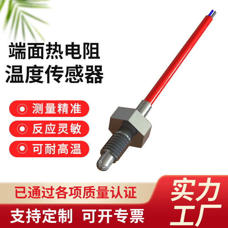 端面热电阻温度探头 发电机pt1000探头 轴承测温pt100温度传感器