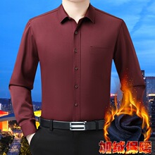 2025冬季新款高档正品桑蚕丝加绒保暖衬衫长袖休闲加厚纯色男衬衣