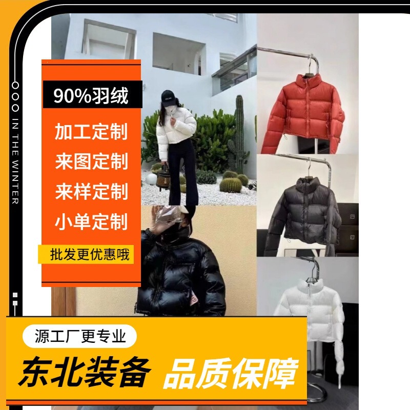 Putian Pure Original North Face Kendall down Jacket for Women, 700 Fill Power White Duck Down, 84-Style High-Waisted Short down Jacket Coat