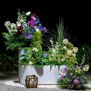 ���Ͳ廨ˇ�Gֲ��Ѳ݅��̈��Ƶ��Y�쾰�^�b����[�O