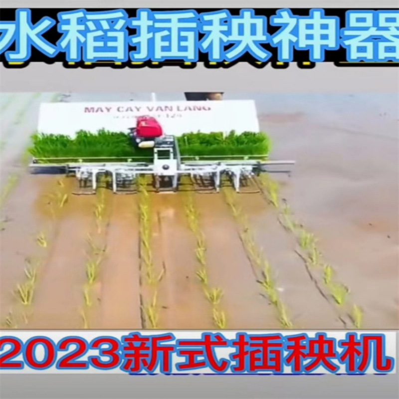 微型6行汽油机牵引水稻插秧机高效率省时省力7寸育苗盘插秧神器