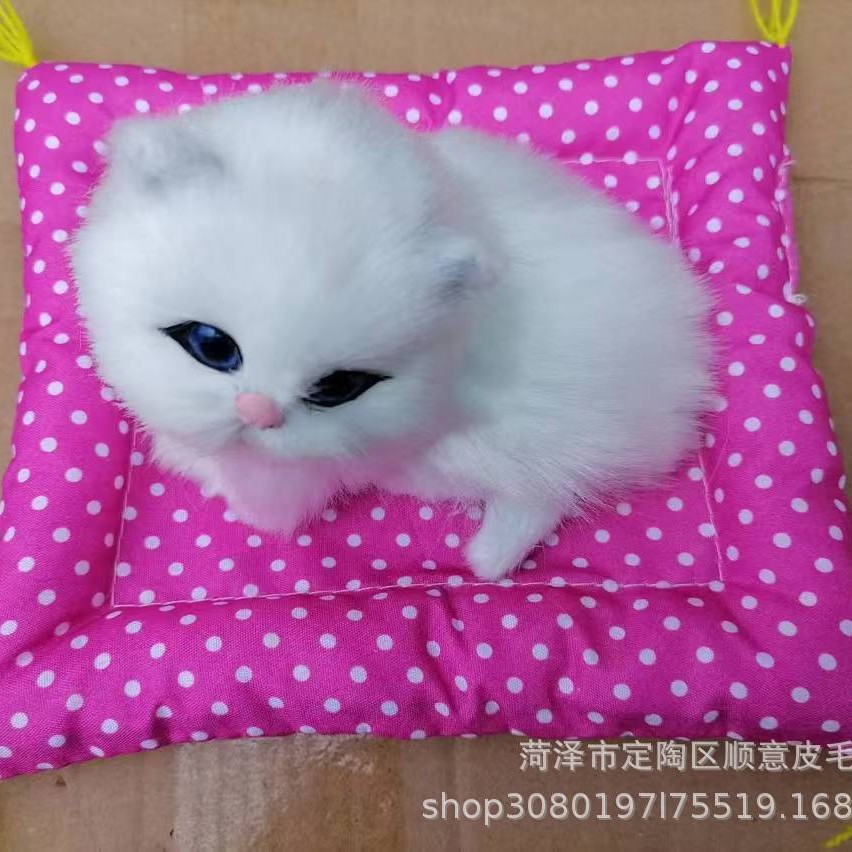 누워있는 고양이 8은 울 수 있다