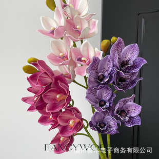 �����Ʒ�|6�^ޥ�m 10�^ޥ�m ���z�� �Ӱ��g��е��� ���˵���ɫ