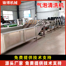 定制果蔬气泡清洗机多功能大姜清洗机连续式高压喷淋药材清洗机