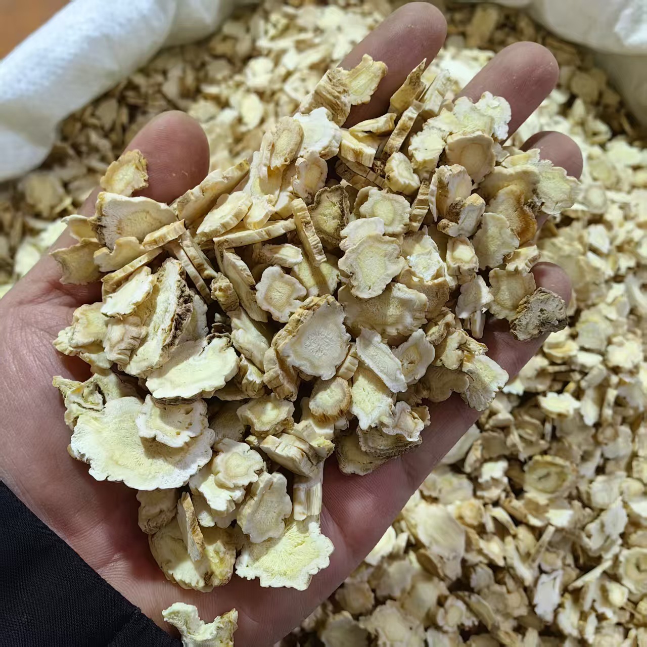 Platycodon Root Jie Geng 桔梗 Sliced Dried Herb for Decoction and Tea 500g quality and texture