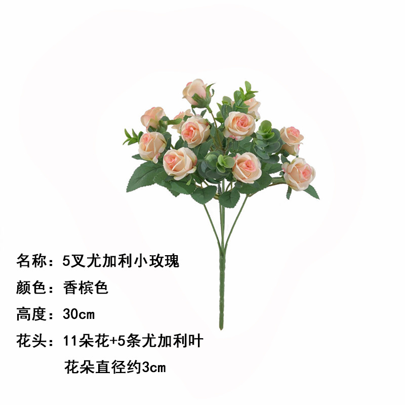 5 포크 유칼립투스 로즈 샴페인