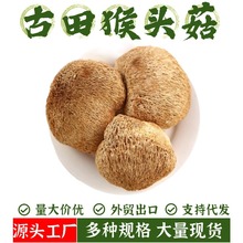 ������^����؛500g�Ҝ���Ʒ��؛�oѬ����^���۾�����؛���lɢ�b