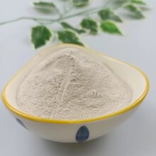 ���l80-98����Ξʯ�۷����} �������Ξʯ�� ���X���I�ἉΞʯ��