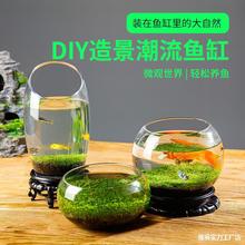 水草缸生态鱼瓶创意鱼缸玻璃瓶水培植物盆栽种籽水草种子四季造景