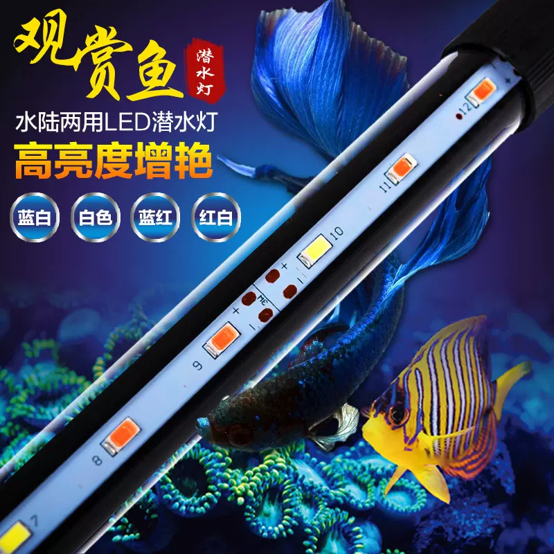 小潜水灯 鱼缸增艳 高亮度LED灯 观赏鱼照明鱼缸造景水族灯 灯具