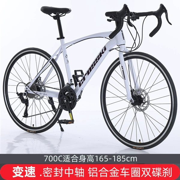 White bike spokes