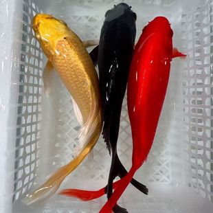 �^�p�~���w�ͻ��~�����~�B�������B��ˮ�~��ˮ�~�����~ˮ���~