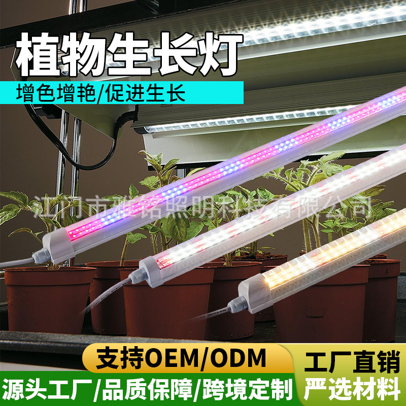 跨境LED全光谱T8植物生长灯一体室内育苗组培蔬菜多肉大棚补光灯