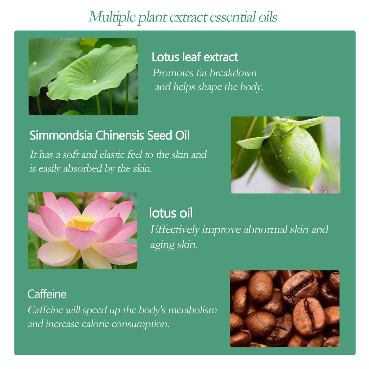 West&Month Lotus Leaf Essential Oil Body Care Sweetening&Planting Esse Enjoying Fat, Light and Slimming_voghion.com